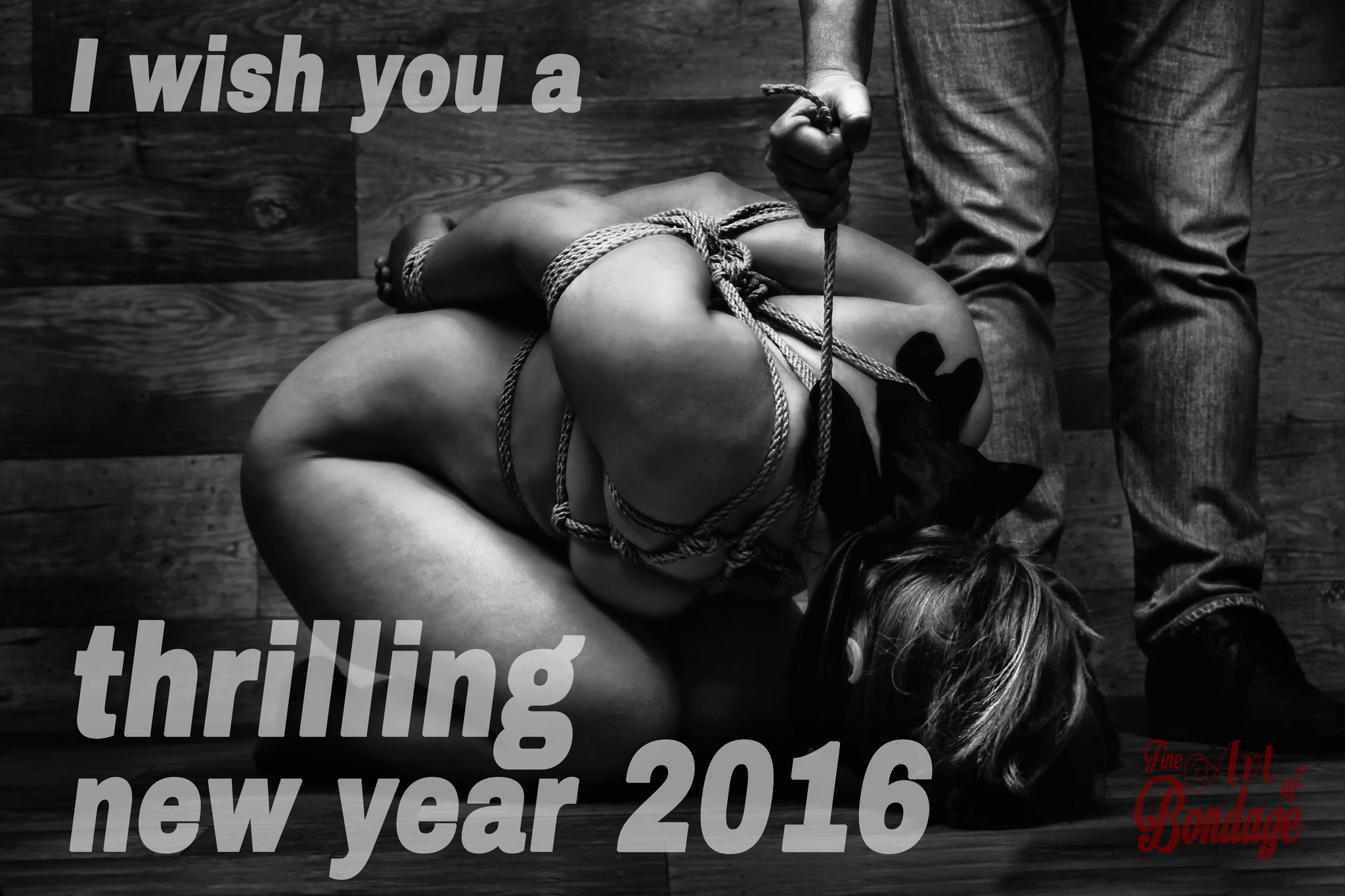 Wish you a happy and thrilling new year 2016 - Fine Art of Bondage
