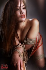 Tied asian model - Fine Art of Bondage